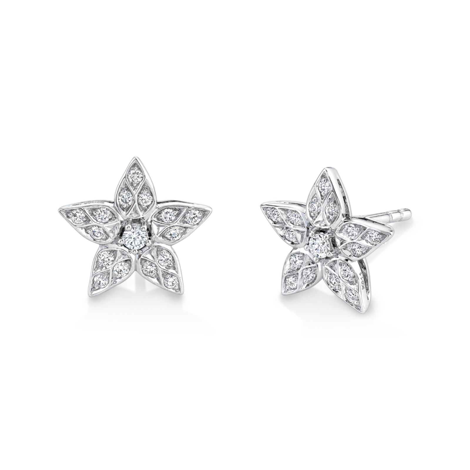 https://www.tinyjewelbox.com/upload/product/White Gold and Diamond Star Stud Earrings