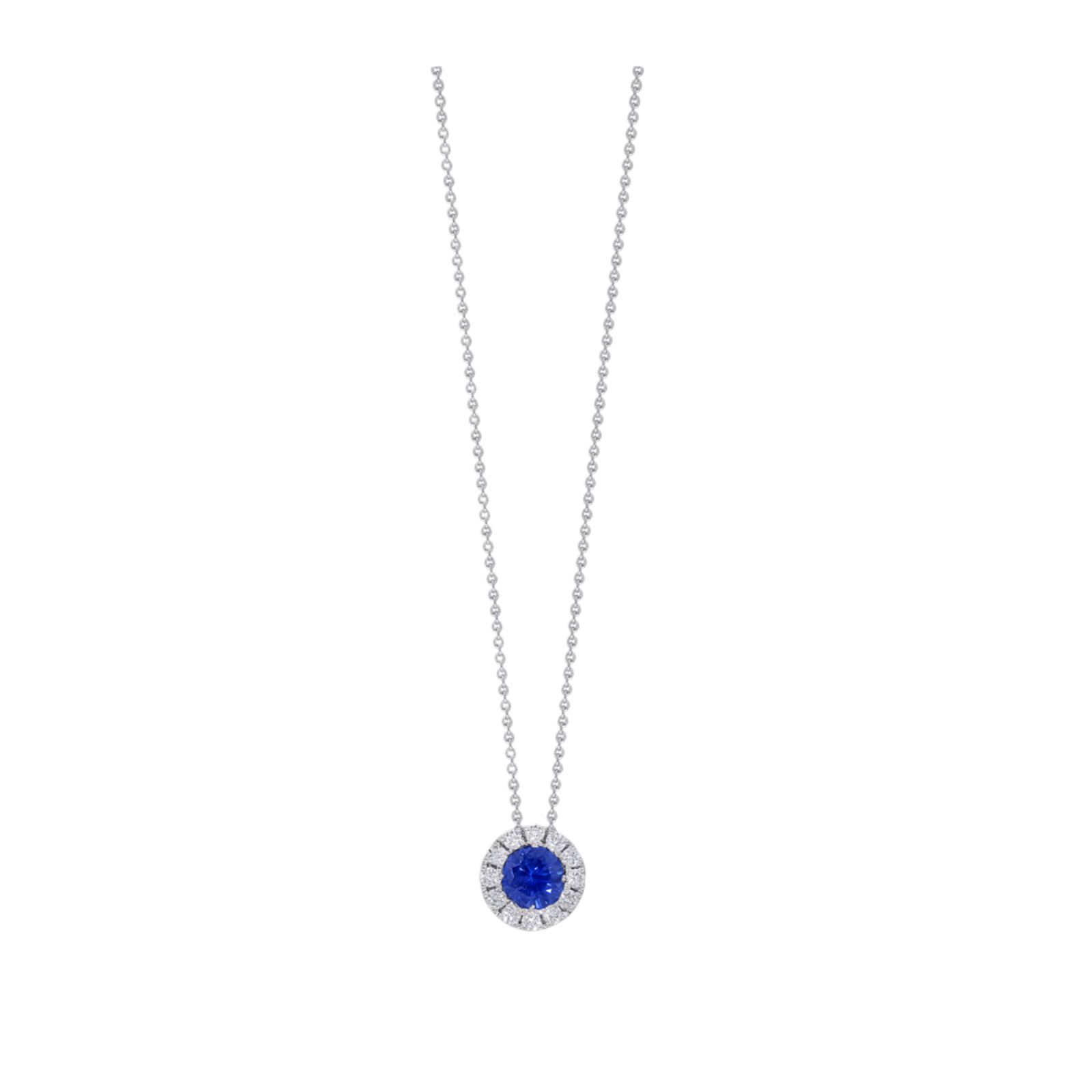 https://www.tinyjewelbox.com/upload/product/White Gold Sapphire and Diamond Halo Necklace